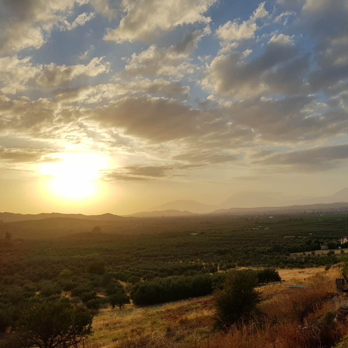 Ebene Messara Kreta Farmer Herkunft
