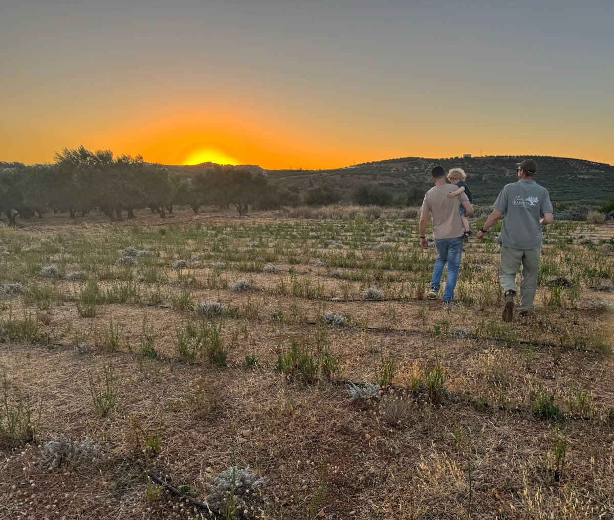 Generationsübergeifend Kreta Farmer