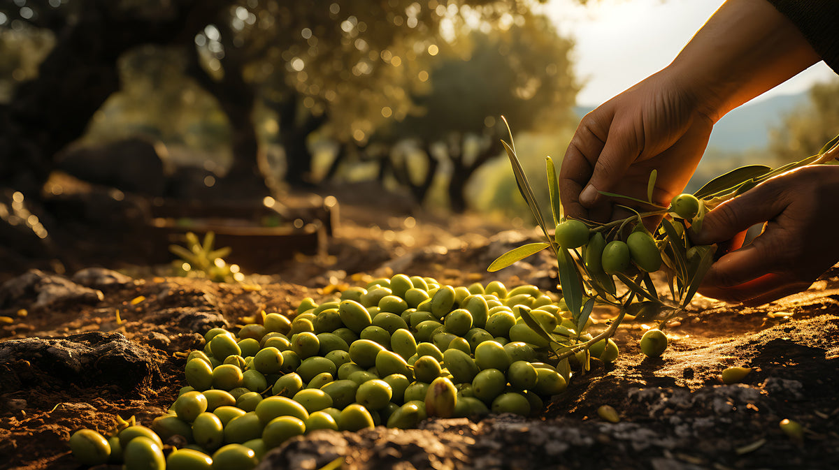 Nachhaltigkeit Elorro Farmers Onlineshop